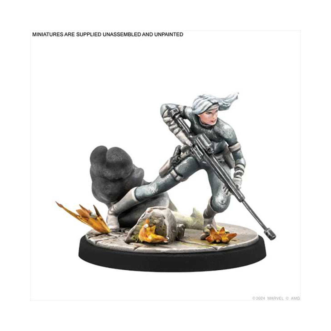Marvel Crisis Protocol - Shang Chi & Silver Sable