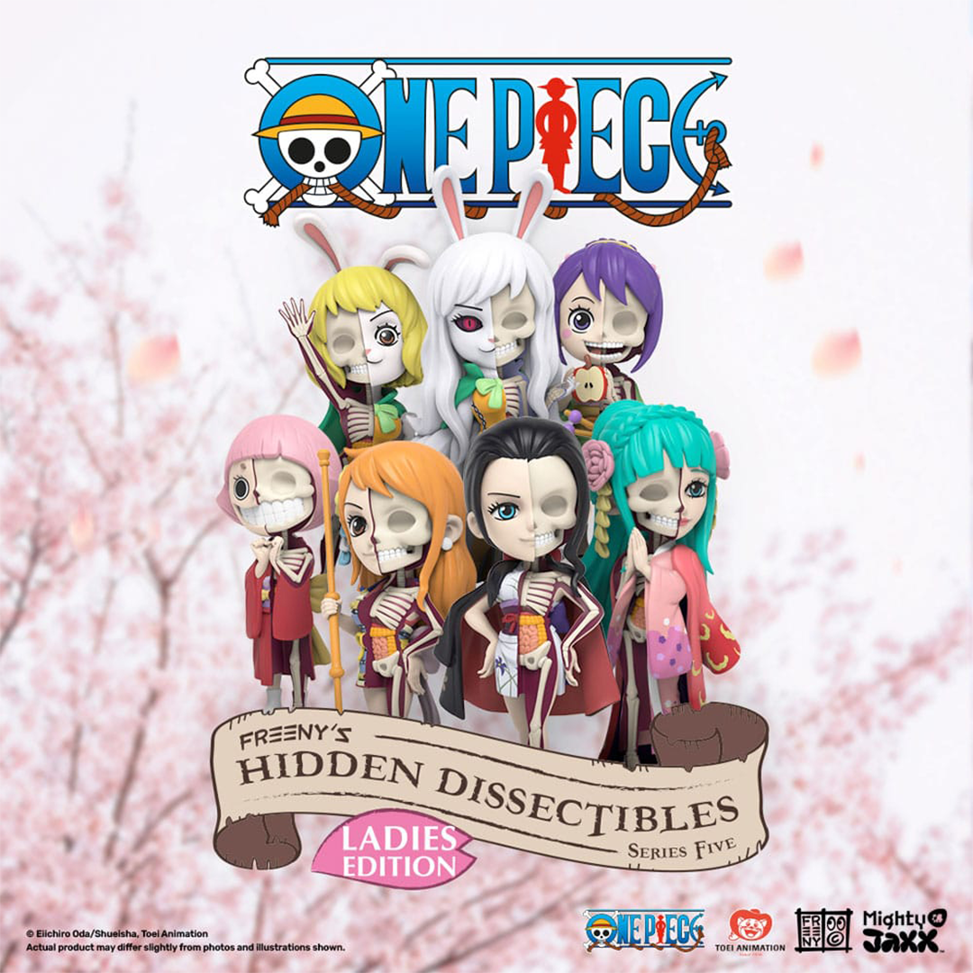 Mighty Jaxx - Freeny's Hidden Dissectibles Series 5 - One Piece (Ladies Edition) - Blind Box