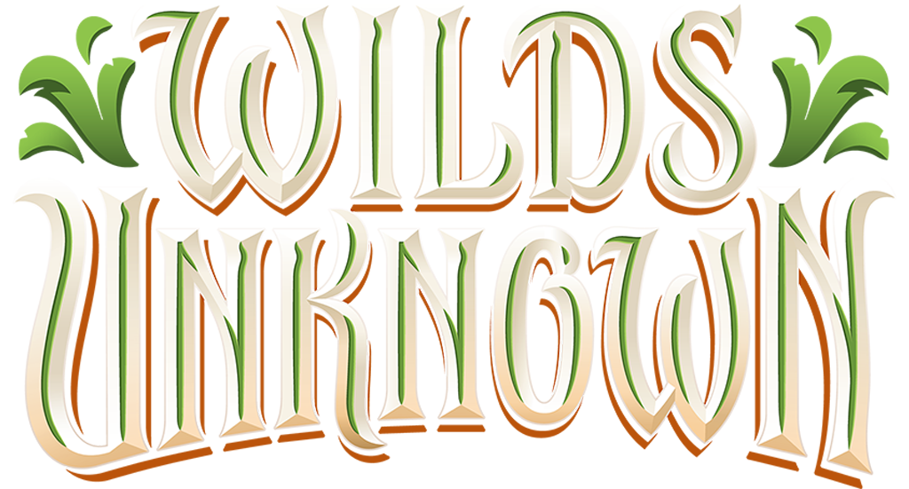Disney: Lorcana - Wilds Unknown