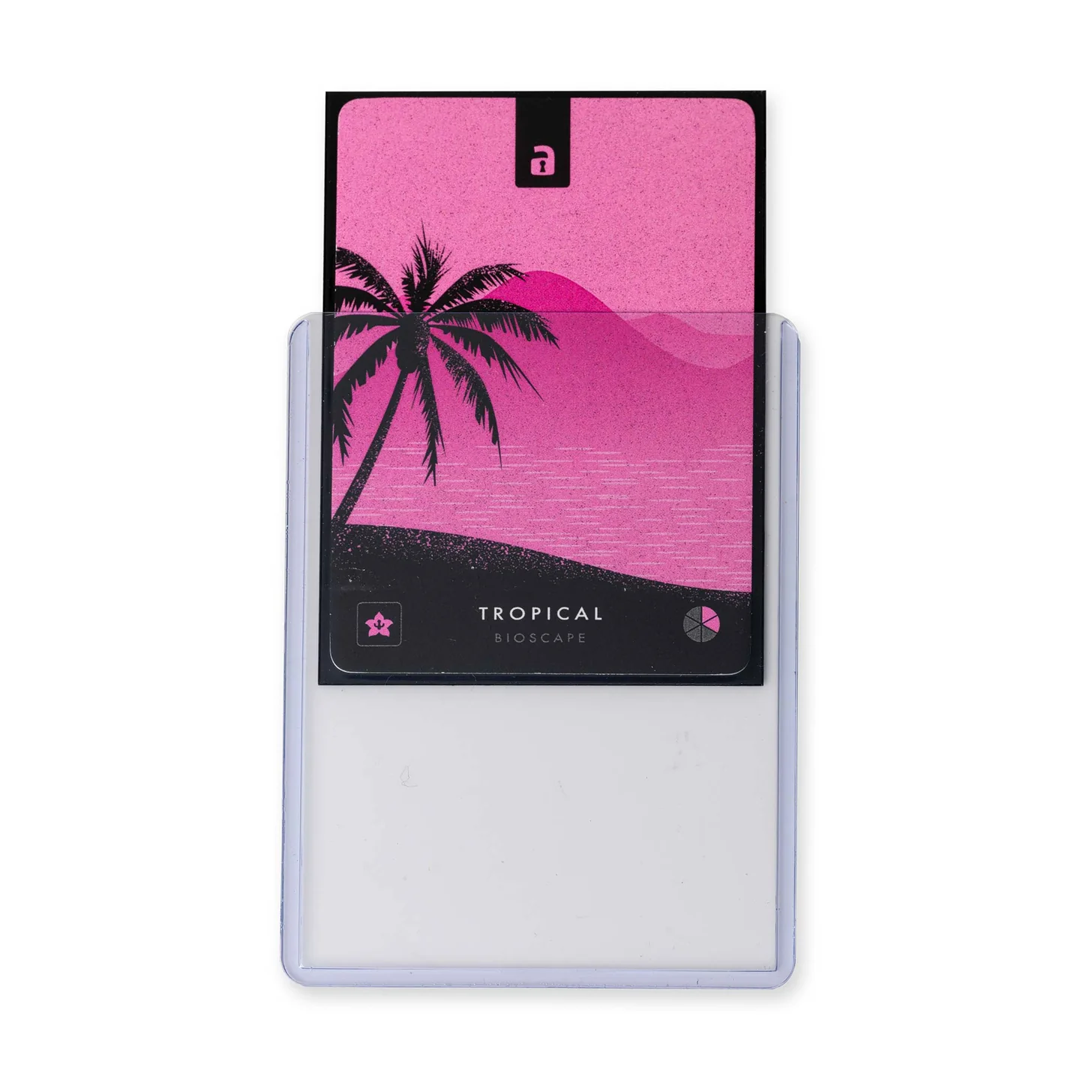 Vault X - Seamless Rigid Toploaders 35pt (25 Pack)